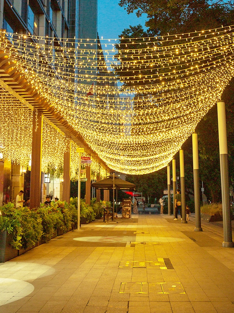 Guirlande lumineuse LEDS - Noël, fêtes