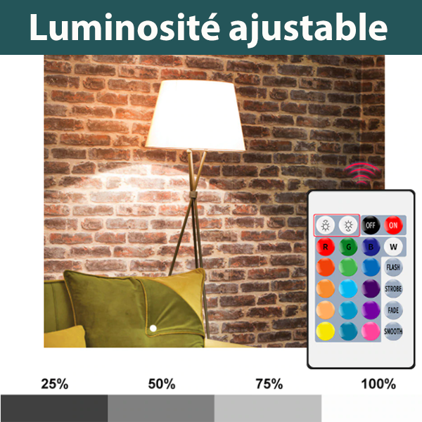 Ampoule intelligente E27 avec télécommande
