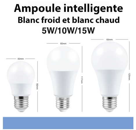 Ampoule intelligente E27 avec télécommande