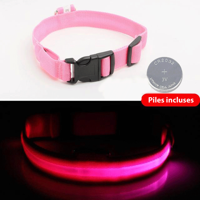 Collier lumineux sécurité pour chiens