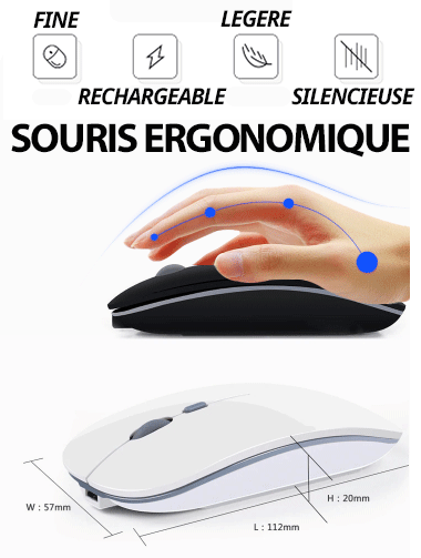Souris sans fil rechargeable-3 niveaux de sensibilité
