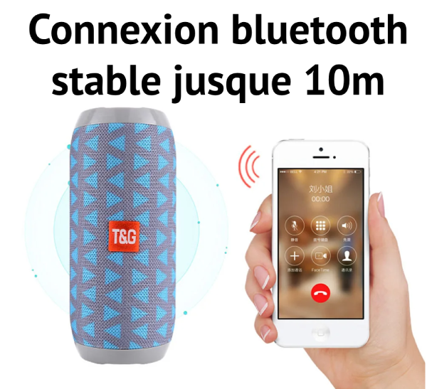 Enceinte portable bluetooth TG117 Radio Stéréo