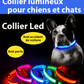 Collier lumineux sécurité pour chiens